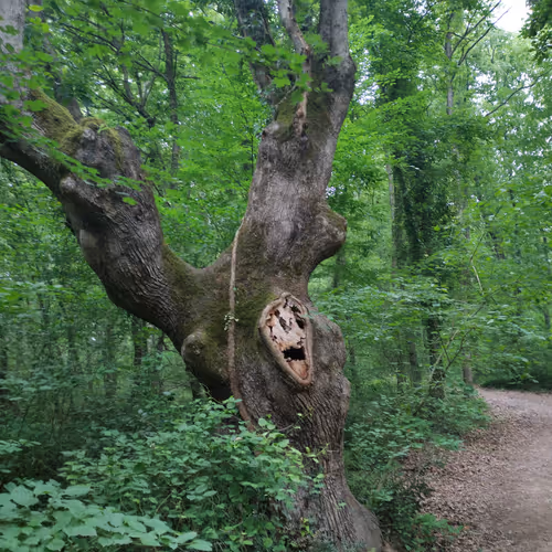 ozymandias.lens-Collect-4507