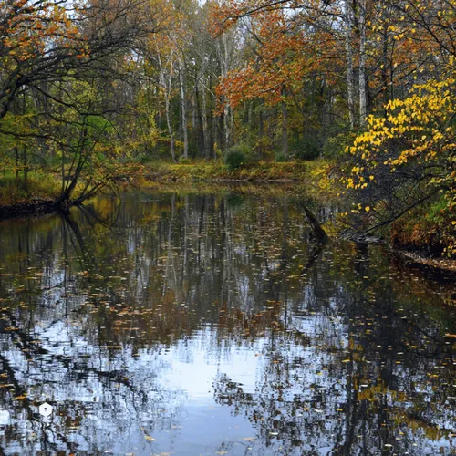 Item #106282055932284421305851909092873061235365908855287448488472902084751838412801 Media