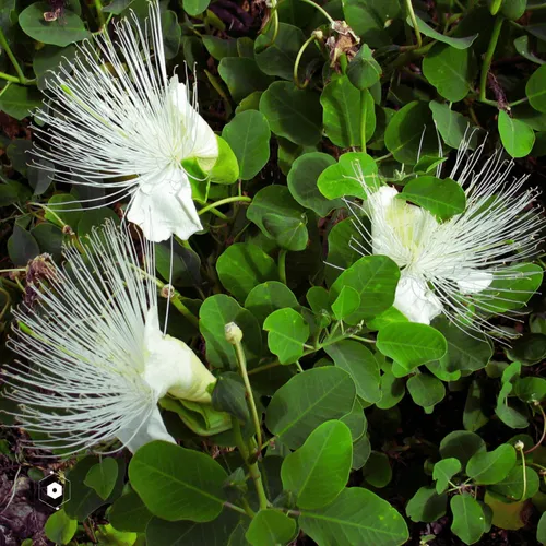 106282055932284421305851909092873061235365908855287448488472902084751838412807