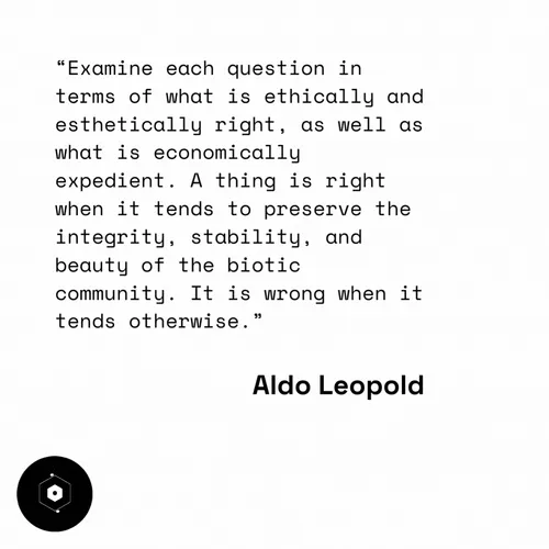 Item #106282055932284421305851909092873061235365908855287448488472902084751838412806 Media