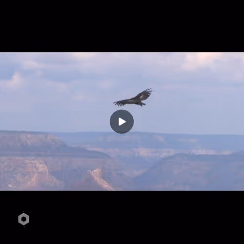 106282055932284421305851909092873061235365908855287448488472902084751838412856