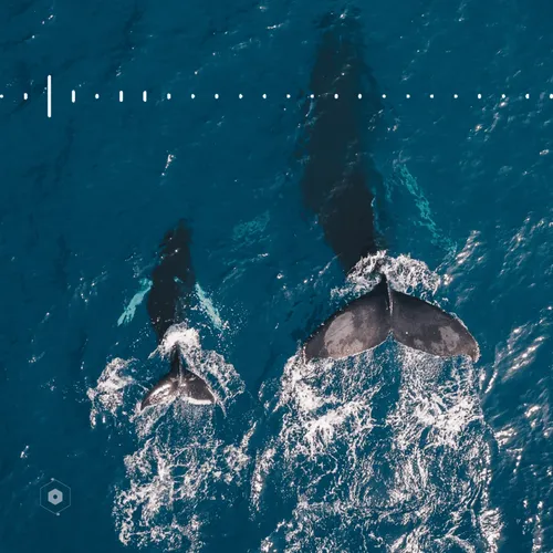 106282055932284421305851909092873061235365908855287448488472902084751838412831