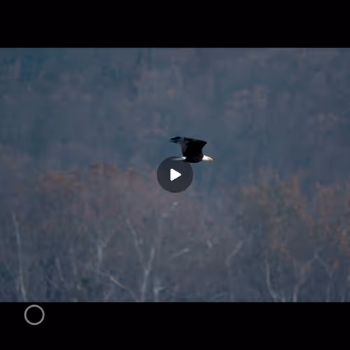 106282055932284421305851909092873061235365908855287448488472902084751838412855