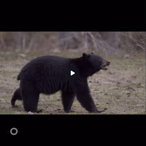 106282055932284421305851909092873061235365908855287448488472902084751838412854