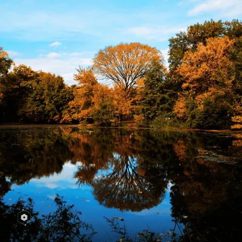 Item #106282055932284421305851909092873061235365908855287448488472902084751838412833 Media