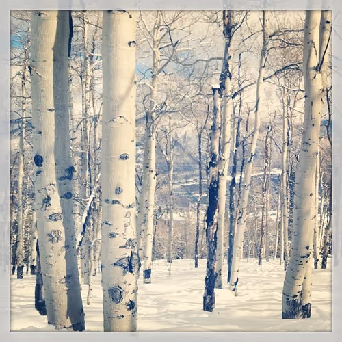 106282055932284421305851909092873061235365908855287448488472902084751838412827