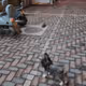 zksyncc.lens-Collect-78