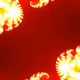 Metawizard55