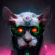 CYBER CAT CULT