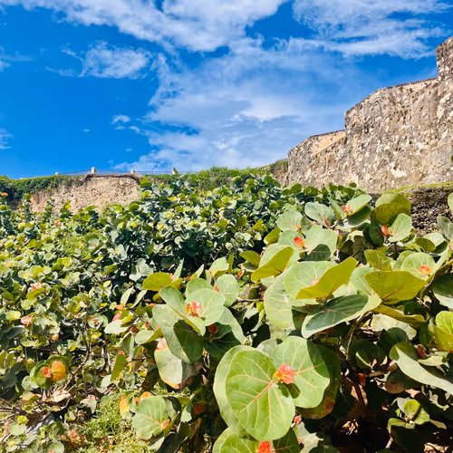 bradorbradley.lens-Collect-2276