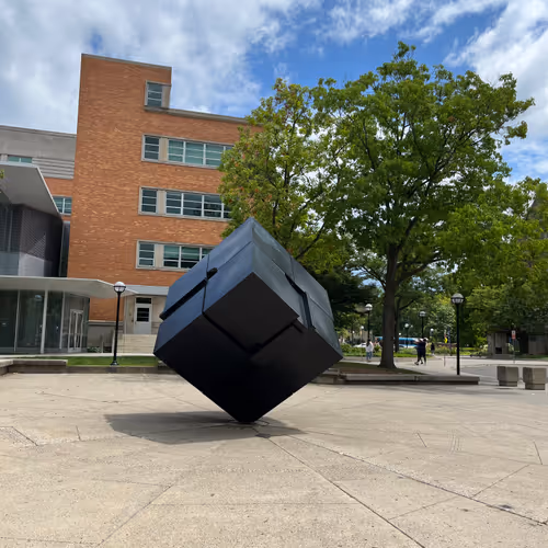 Years Through the Lens