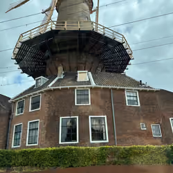 Whispers of the Windmill