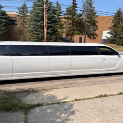 The White Chariot