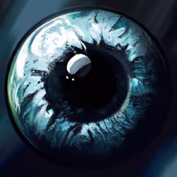 L'oeil