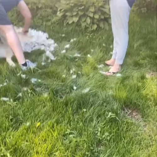 IMG_1025.MP4