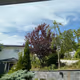 diogor.lens-Collect-1053