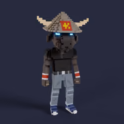 Item Media