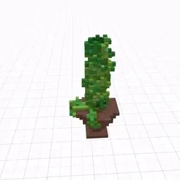Item #58 Media