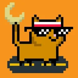 tiny cats #6834
