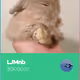 LJMnb V2