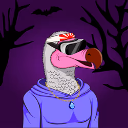 36