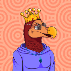 101