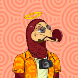 28