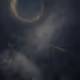 83
