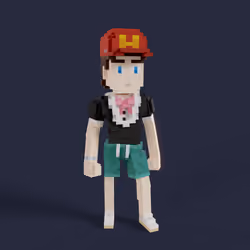 Item Media