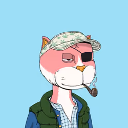 Fucking Cats Klub #9264