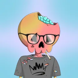 Crypt Social Club#6493