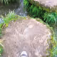 lxj39631.lens-Collect-54