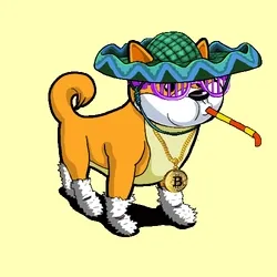 Shiba Gangs #1885