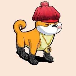 Shiba Gangs #1747