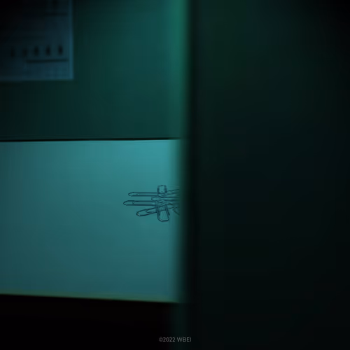 Item #7008487222594423117802 Media