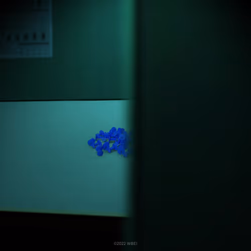 Item #4886691443 Media