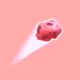Asteroid(pink)