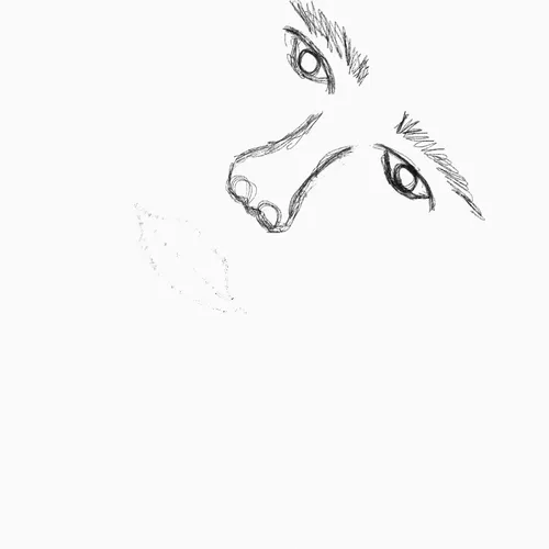 Faceooo
