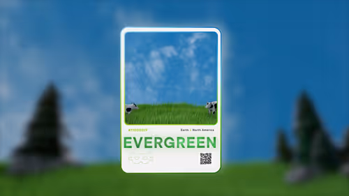 Item #11800219 Media