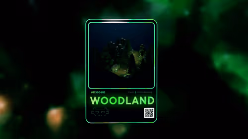 Item #11300683 Media