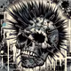 Punk C #3