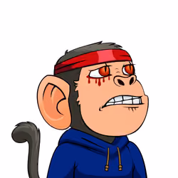Monkey #1134
