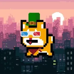 202