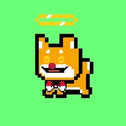 2303