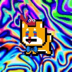3239