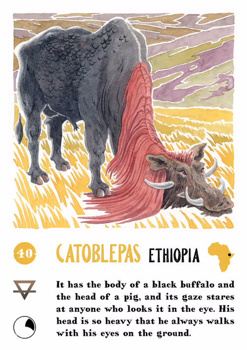 Item #15284691712437925618 Media