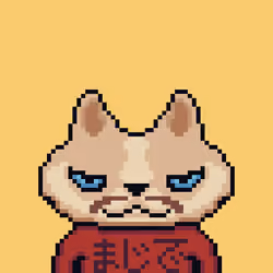 NEKO BENJI #1081