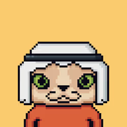 NEKO BENJI #1965