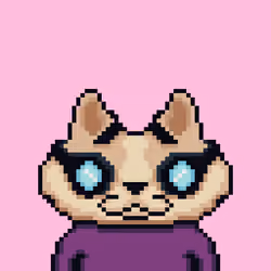 NEKO BENJI #993