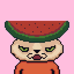 NEKO BENJI #3104
